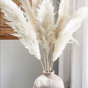 Meet your Posher, Sabreen